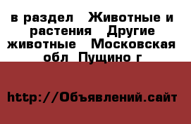  в раздел : Животные и растения » Другие животные . Московская обл.,Пущино г.